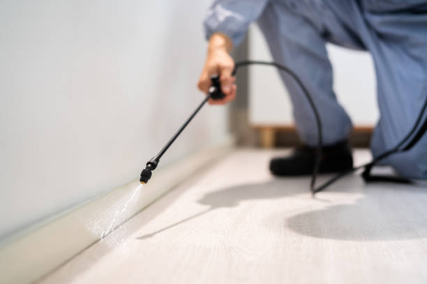 Licensed Termite Control service in Lincoln County County, TN - Nex Pest Control