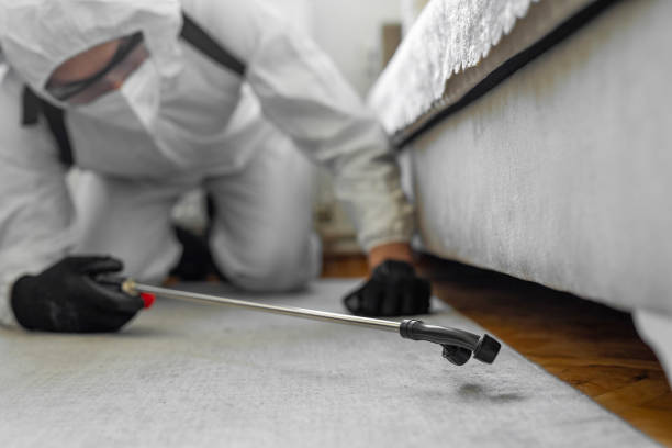 Professional Termite Control technician working in Lincoln County County, TN